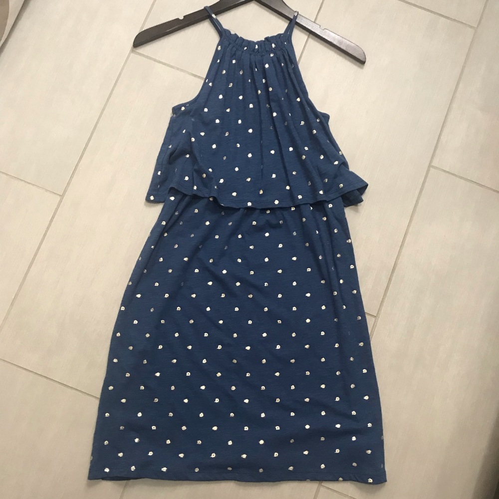 LOFT blue polka dot dress